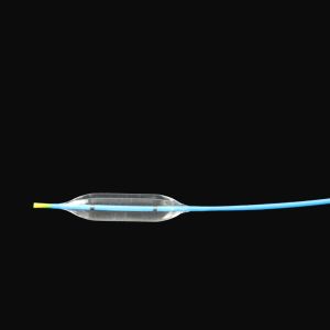 Disposable Balloon Dilatation Catheter With Elastic Soft Tip Design