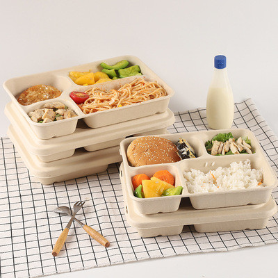 Buy BPI BRC NSF 24*18*4cm Bagasse Lunch Box Microwavable Refrigerable at wholesale prices