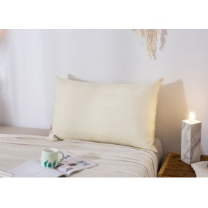 48*74cm Hypoallergenic Cotton Down Pillows