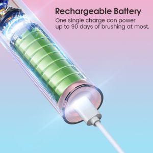 Soft Bristle Electric Toothbrush ABS Plastic Rechargeable IPX7 Waterproof Travel