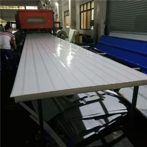 fast assembly construction 50mm eps sandwich panel with 14kg for warehouse