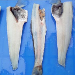 1500w Fish Fillet Processing Machine Reduce Artificial Motor Commercial