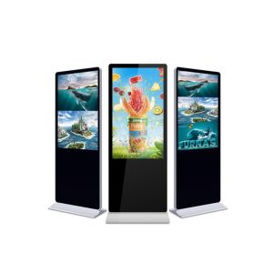Multifunctional Advertising Digital Signage Powder Coating 55 Inch HDMI