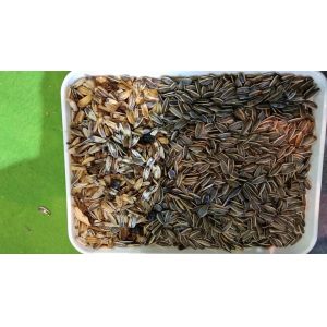 WENYAO Sunflower Seed Color Sorter , 7T/h Seed Processing Plant Machinery