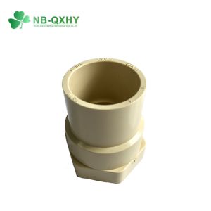 Plastic Fittings ASTM CPVC Reducing Bushing Customized Request