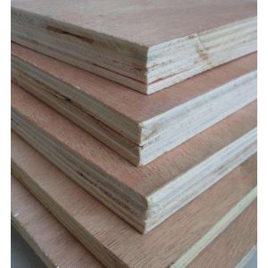 Birch Hardwood Faced Plywood , Environmental Protection Staining Marine Plywood