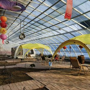 Experience the Benefits of the Flower Sunlight Greenhouse US Currency