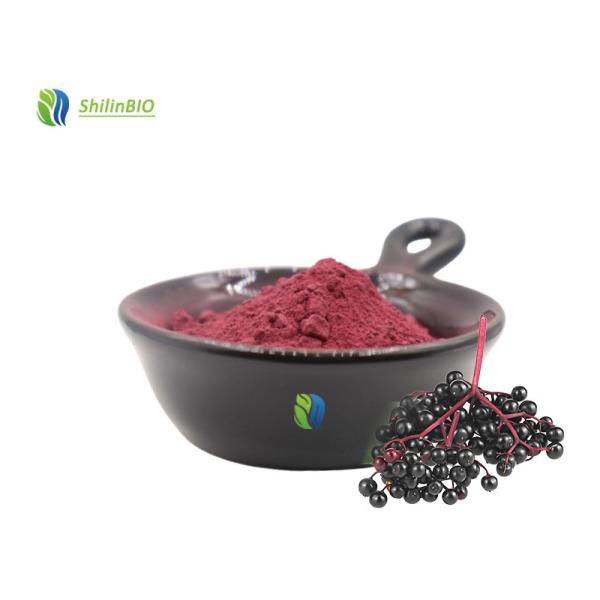 Buy High Purity Bulk Price Black Elderberry Extract Powder 25% Anthocyanidins at wholesale prices