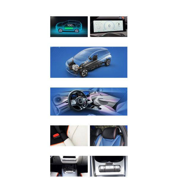 Byd Dolphin 2021 301km Vitality Edition EV Left Steering Fast Charging Time 0.5 Hour