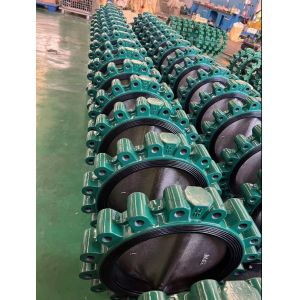 Water Applications Butterfly Valves AWWA Wafer Lug Double Flanged C954 C950 C955