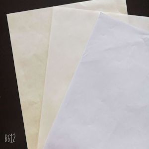 Notes Anti-Curl Cream Color Bond Paper for Customer Requirements