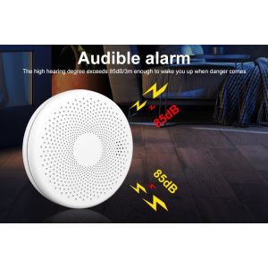 Smoke And Carbon Monoxide Detector Powered With Led Light And Accurate Detection