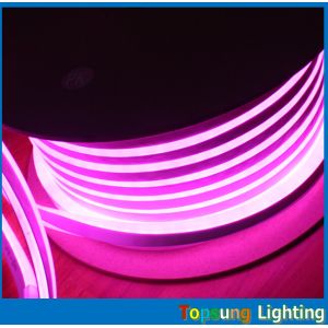 220v/110v/24v led rope light 10*18mm rgb neon flex light with bottom price