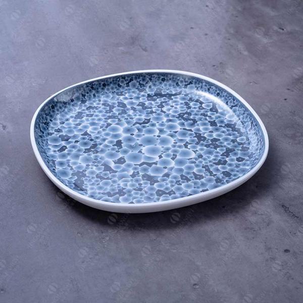 melamine plate 1.jpg