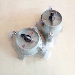 Lighting Explosion Proof Switch OFF ON 220V 380V