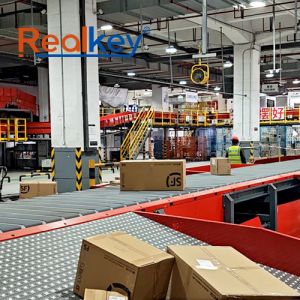 High Sorting Capacity Narrow Belt Sorter Machine Scalable System Design