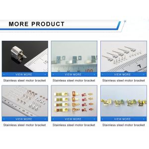 Anodization Precision Metal Stamping Parts Electric Motor Components Starter