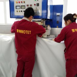 Free Standing Double Membrane Biogas Holder