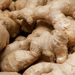 10% Moisture Organic Dry Ginger Powder 80 - 100 Mesh