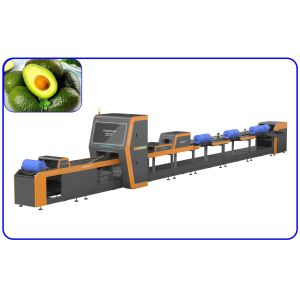 Quality Computer Control Avocado Sorting Machine 1 Channel Intelligent Avocado Sorter for sale