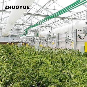 OEM ODM Irrigation System Light Deprived Greenhouse Horticultural Solution
