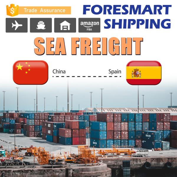 Buy Shipping From China To Spain FCL Sea Freight Forwarder at wholesale prices