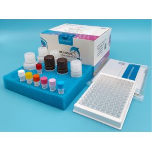 Furazolidone(AOZ) ELISA Test Kit for In Vitro Diagnostic Only 99.9% Specificity