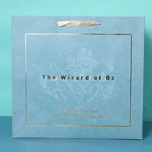 Hot Stamping Cardboard Gift Packaging Box Eco Friendly Handbag