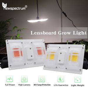 Quality Advanced Aluminum COB Grow Lights For Professional Cultivation for sale