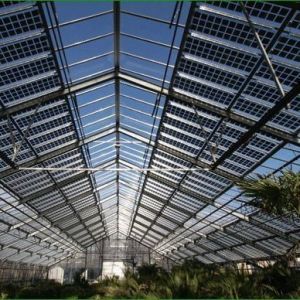 Heat Storage Single-Arch Commercial Photovoltaic Greenhouses Long-Lasting