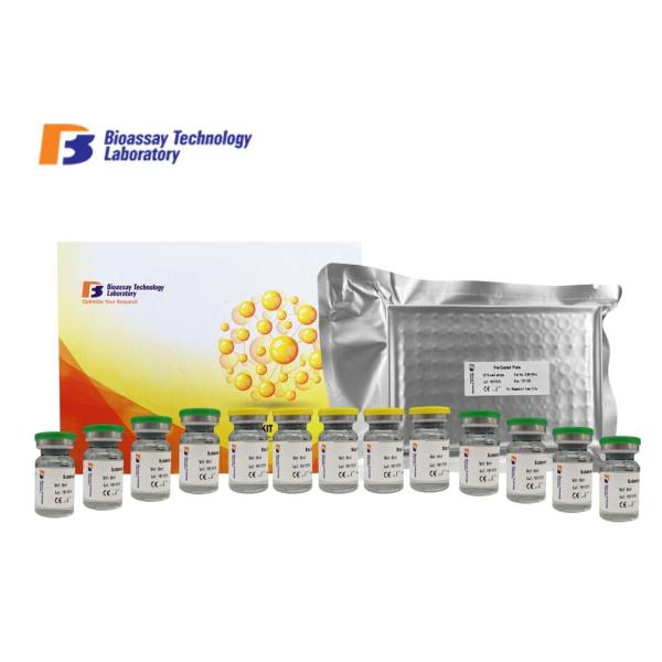 Sandwich Type Canine Symmetric Dimethylarginine ELISA Kit Customized With 2