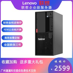Lenovo ThinkServer TS90X G6405 8G 1T DESKTOP RAID 121I