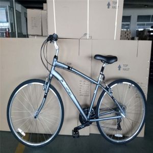 Customize Aluminum Frame 21S Women's Urban Bike Fitness Bikes Hybrid Bicycle for