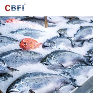 Fast Flake Ice Machine 30 Ton Per Day Big Capacity Industrial Automatic Ice