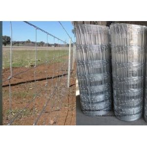 Quality Cattle Farming Fence / Hot-Dipped Filed Wire Mesh Fence For Poultry for sale