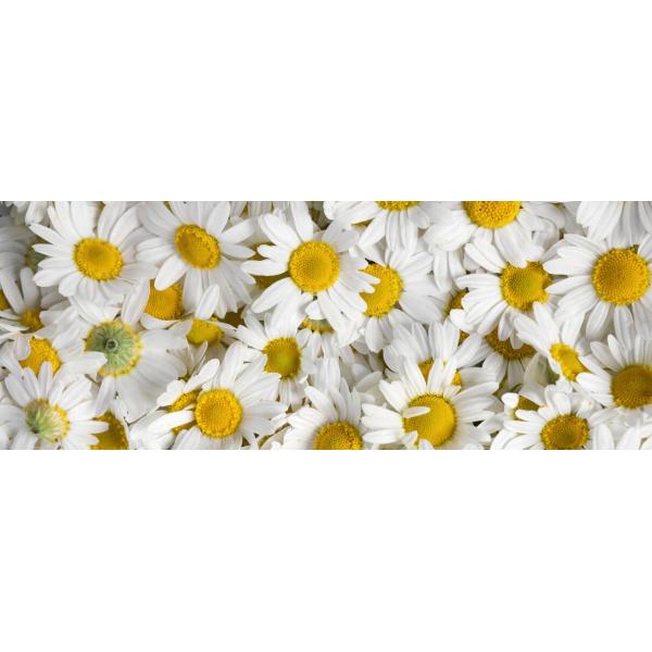 PH7 - 9 Agricultural Chitosan Natural Polymer Raw Material