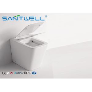 Rimless Free Standing Toilet With Hidden Water Tank , floor standing wc