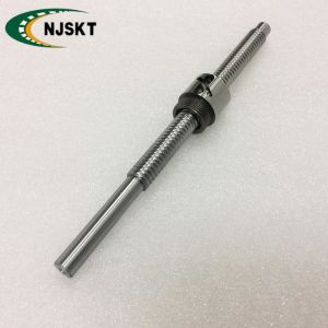 BSHR01004 10mm Diameter Ball Screw Shaft Bidirectional Lead Screw