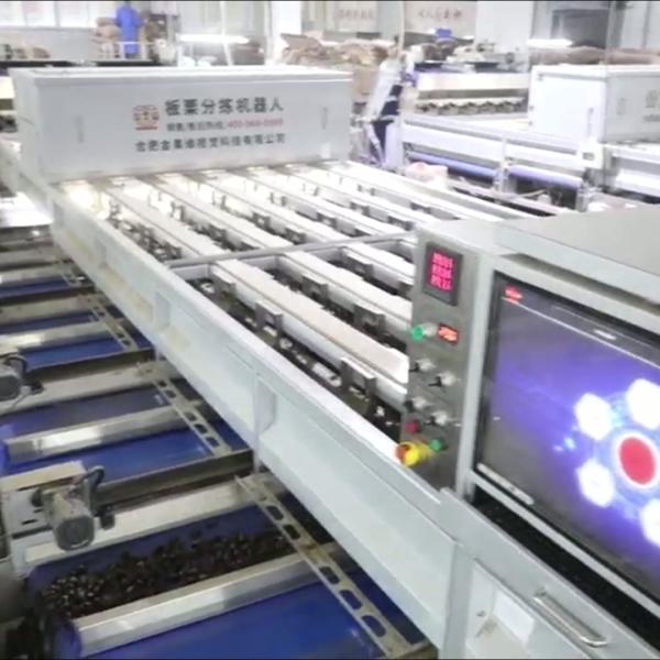 Experience Enhanced Efficiency with Our AI Powered, High Capacity, 304 Stainless