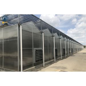 Customized Polycarbonate Panel Greenhouse Year Round Vegetable Greenhouse