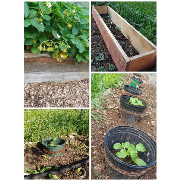 100mm Width Copper Rodent Mesh Monofilament Diameter 0.17mm Customized Hole Size