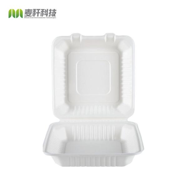 Eco friendly compostable sugarcane bagasse packaging takeout bento disposable