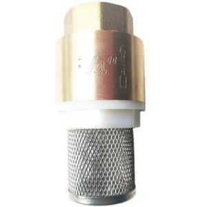 Bellows Globe Tubular Vertical Brass Spring Check Valve