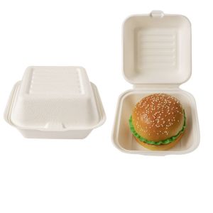 Compostable disposable eco-friendly clam shell burger customized disposable food