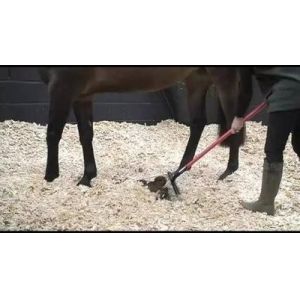 0.10 M/Sec Wood Shaving Mill