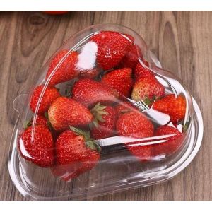 Hot Selling Plastic PET Sandwich Containers Cake Bread Container Plastic