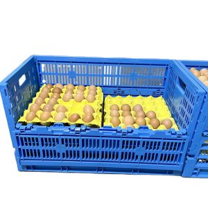 China PE/PP Mesh Style Collapsible Egg Crate Moving Tote Box for Eggs Storage and Transport on sale