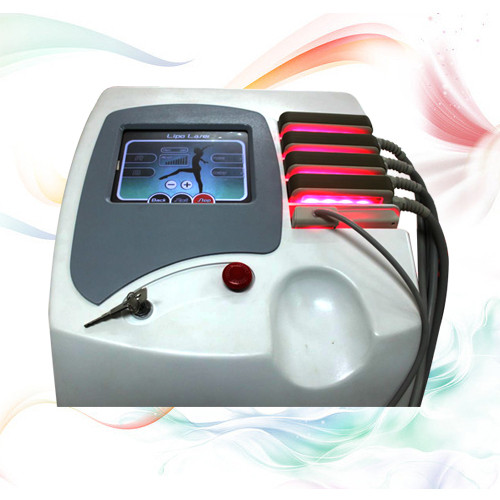 Buy Lipo Laser (lipolysis) Slimming Machine for body shapping at wholesale prices