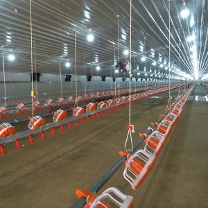 4m/Set Broiler Equipment