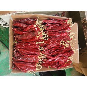 19cm Smooth Texture Sweet Paprika Pepper Single Herbs Spices